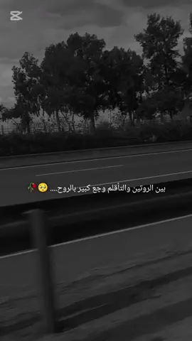 اخ دياي 🖤🥀 موال #حزينہ♬🥺💔 #محمد_جاويش #اغاني_كردية #تصميم_فيديوهات🎶🎤🎬 #اكسبلورexplore❥🕊 