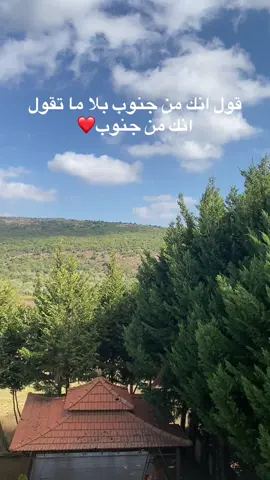 شو بتقولوا؟؟؟ #viral #viralvideo #explore #foryou #جنوب 