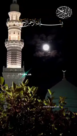 #تلاوة_يتجلى_فيها_التحبير_والاتقان#سورة_يوسف#تسلب_الالباب#وفوق_كل_ذي_علم_عليم