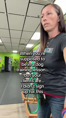 Dog trainer + therapist + life coach + mediator… I didn’t sign up for all this 😂 sometimes they really get going at each other! Usually it’s the blame game, the dog isn’t trained because the other one doesn’t follow instructions, etc etc etc there’s so many excuses. But I’ve  definitely been in the middle of arguments before that I really did NOT want to be involved in 😂😂 #dogtrainer #DogTraining #therapist #dogsoftiktok #notatherapist 
