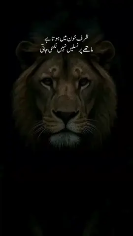 Hanji #alhamdulillah #lionvideo #attitudevideo #whatsappstatus #urdutext 