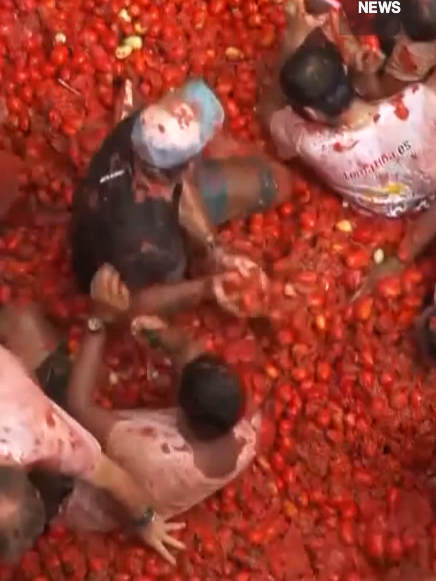 Annual tomato fight in Spain draws thousands of revellers #Spain #LaTomatina #Tomatofestival