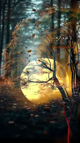 لاتلوم الريح واحبابك من ورق...... #creatorsearchinsights # #على_التيك_توك #magic #for_you_page #4u 