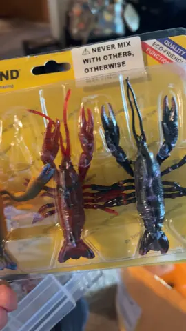 #fishinglures 