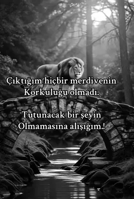 Çıktığım hiçbir merdivenin Korkuluğu olmadı. Tutunacak bir şeyin Olmamasına alışığım.!#kurtlarvadisi #kurt #aslan #arslan #keşfetedüş 
