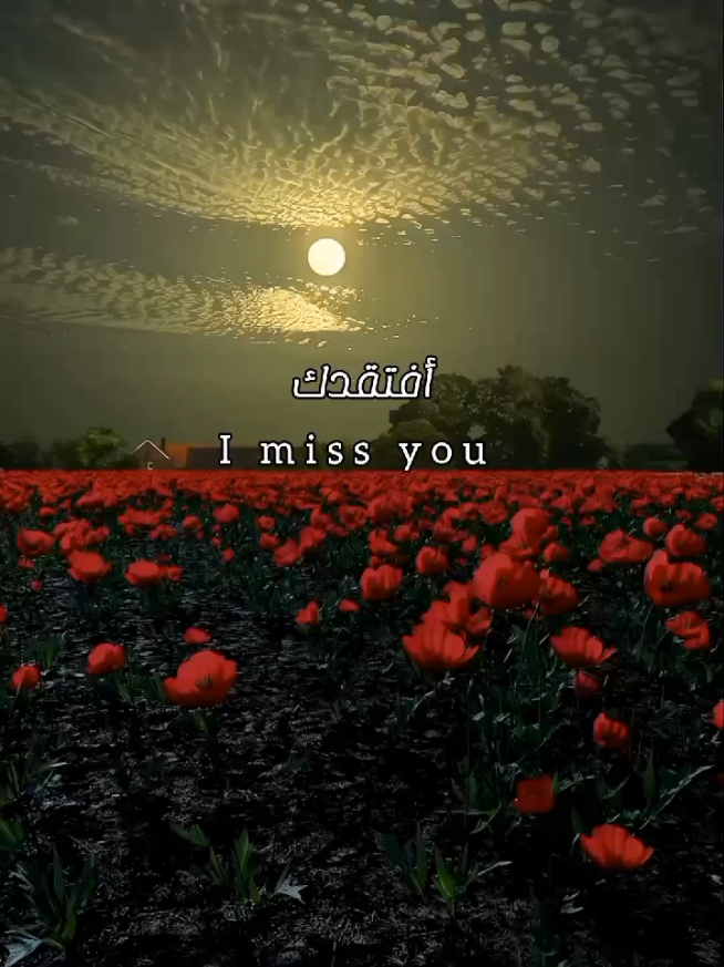 i miss you  #foryou  #اقتباسات  #خواطر  #مشاعر  #viral 