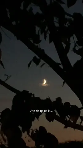 🌙 #moon #dhuratadora #noyzi #sunset #foryou 