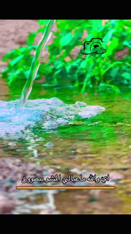 #تصويري📸اكسبلوور♥️🙂📸اكسبلوور #تابعوني_رح_نزل_شي_جديد 