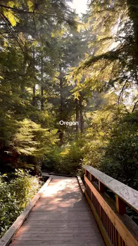 It’s always been you Oregon #fyp #travel #oregon #oregoncoast 