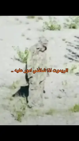 والله حقيقه 😂😂😂. #اكسبلو 