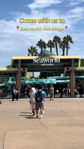 Making a splash at SeaWorld San Diego 🌊🐬  SeaWorld San Diego was a dream come true 🌊🐳 My little one is obsessed with sharks, whales, and dolphins  he couldn’t stop smiling or talking about his adventure 🦈🐬✨ #seaworldsandiego #sharks #dolphins #toddleradventures #seaworld 