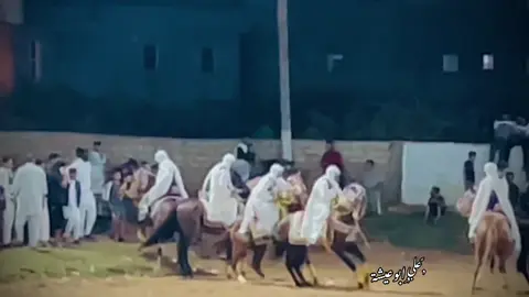 ترهونة المركز اليوم الثاني في أفراح ال الشريف #منصة_فرسان_الخوت🔥 #علي_أبوعيشة #اعادة_النشر🔃 