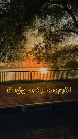 කුමක් කරන්න ද? යා යුතුයි. #බණ#ජිවිතයට_ඔවදනක්#ධර්මදානයක්_වේවා#සසර_ගමනේ_යථාර්තය_නුවණින්_අවබෝධ_කර_ගන්න #බුදුසරණයි_හැමෝටම☸️♥️🙏   #creatorsearchinsights#buddha#pina #dhamma#banasinhala#shraddhatv #namobuddhaya#niwana#trendingvideo #fype#viralvideo#foryoupageofficiall #trending#viral#foryoupage #follower#everyone#trending#viral @£@›#fyp: #sri_lanka