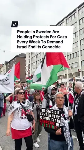 Every Saturday, people across Sweden have been taking to the streets to hold mass protests in support of Gaza and to demand Israel end its genocide. We spoke to some of the hundreds of demonstrators who showed up to the protest in Stockholm on July 12 and asked them why it was important for them to keep showing up for Palestine 🇸🇪🇵🇸 #gaza #palestine #sweden #protest #tiktoknews 