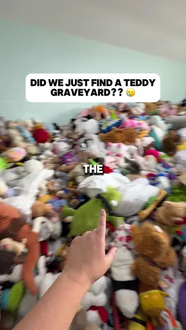 The Room of 10,000 Teddies 🧸 #CarBootFinds #ToyCollector #NostalgiaVibes #ResellingLife #TeddyBearCollection 