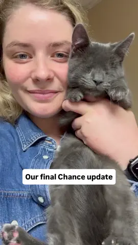 It's big news time for our girl Chance! We rescued her in December last year, she had a broken jaw and was missing her eyes. She has had 3 life saving surgeries to get her to this point of being ready for adoption. While her fosters went back and forth about whether she was already at home with them, it was ultimately decided that there might be a better fit for her out there. Her adopters are no strangers to caring for a blind cat. Their cat that had passed away last year was similarly born without eyes. Her name was Miley, and she lived a wonderfully long and happy life with these two. While we don't usually do out of state adoptions, we had to make an exception. I mean... their personal reference on their adoption application was a vet specialist from their local hospital who treated their previous cat, who couldn't speak more highly of them and the level of care they provide for their pets. Chance, now named Indie June, will have a dog friend named Meeko and once she is settled, they'll be hoping to add another cat to the mix as well. We couldn't be more happy for Chance and the family she found. It was an emotional day for me, and of course for her fosters. Be good, Chance - we love you!🩶🐺 #blindkitten #blindcat #adoptdontshop #rescuekittensoftiktok #rescuecat 
