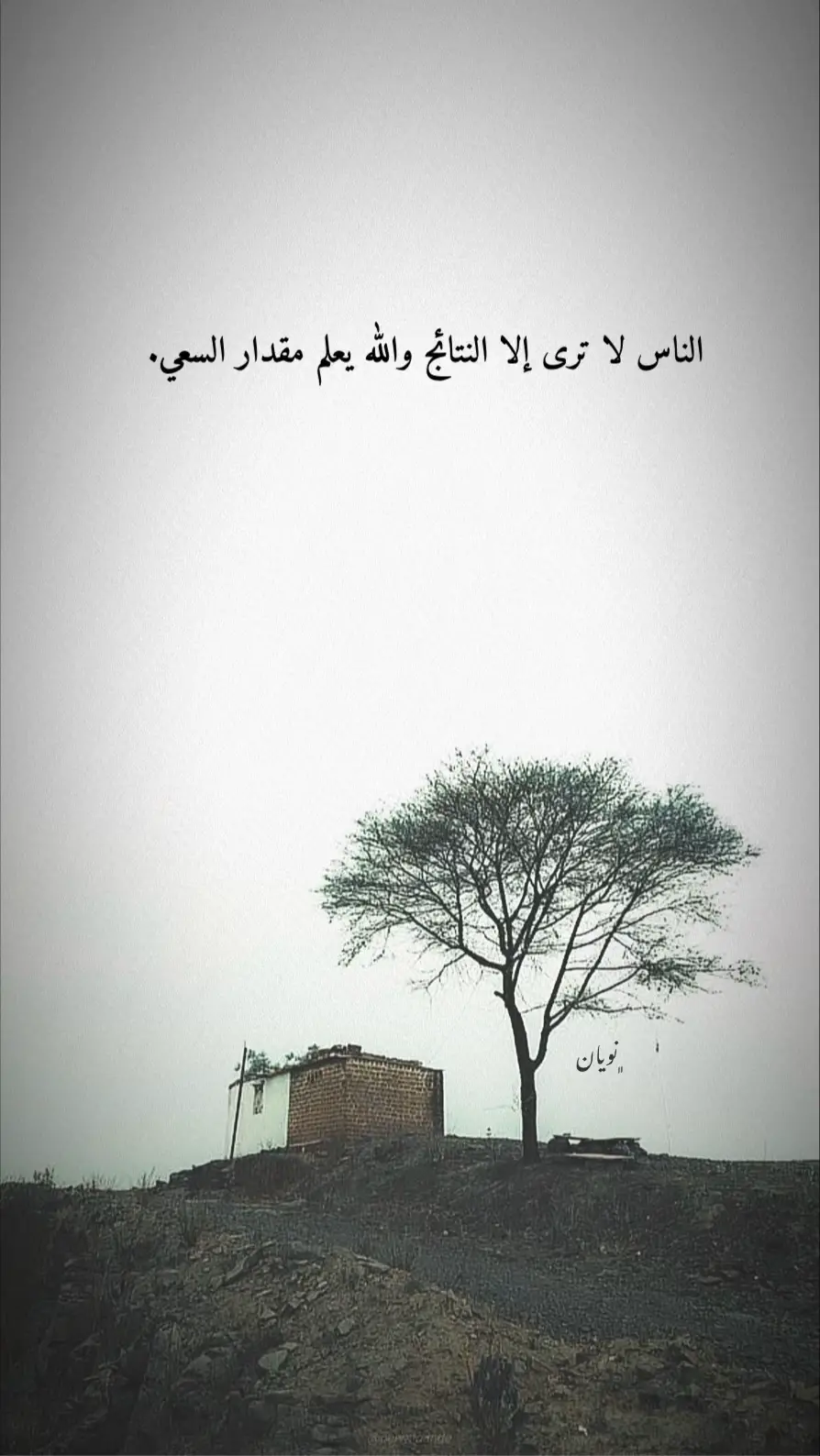 #تصميمي🎬 #خواطر #اقتباسات📝 #عباراتكم_الفخمه📿📌 #عبارات_جميلة_وقويه😉🖤 
