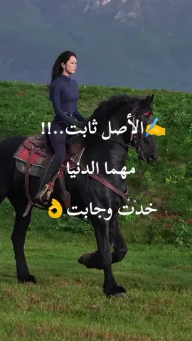 #خيل_وخياله🐎 #خيول_عربية_اصيلة #الخيل_عشق_لاينتهي #إكسبلوررررررر_explor #👌👌👌 