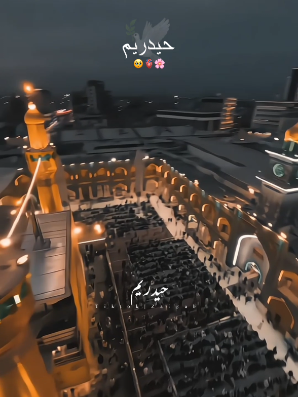 Ana Haiderium🫀🙌🏻 #Rabiulawal #shiastatus  #yaali #unfreezmyaccount  #Safar 