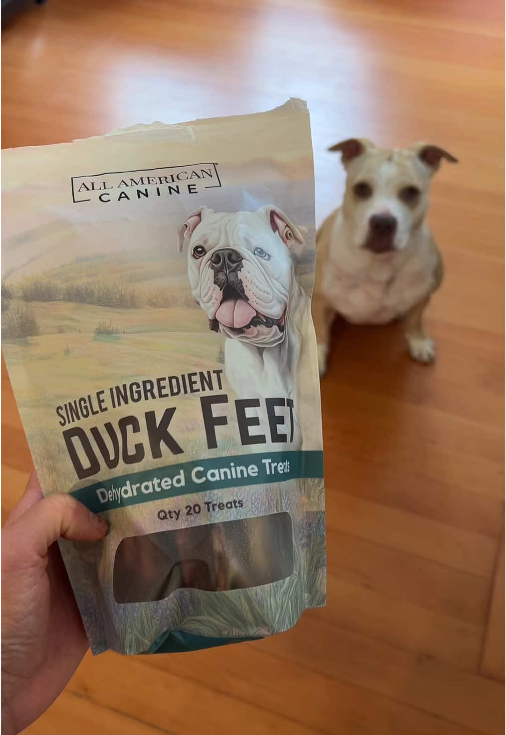 Only the best quality healthy treats for my girl #dogsoftiktok #dogtreats #fyp #PetsOfTikTok 