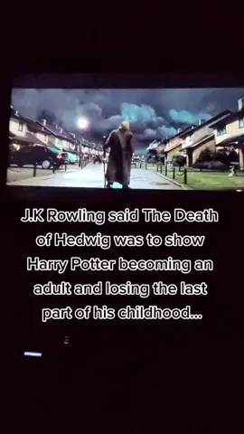 We never recovered.... #harrypotter #hedwig #orderofthephoenix #death #fyp 