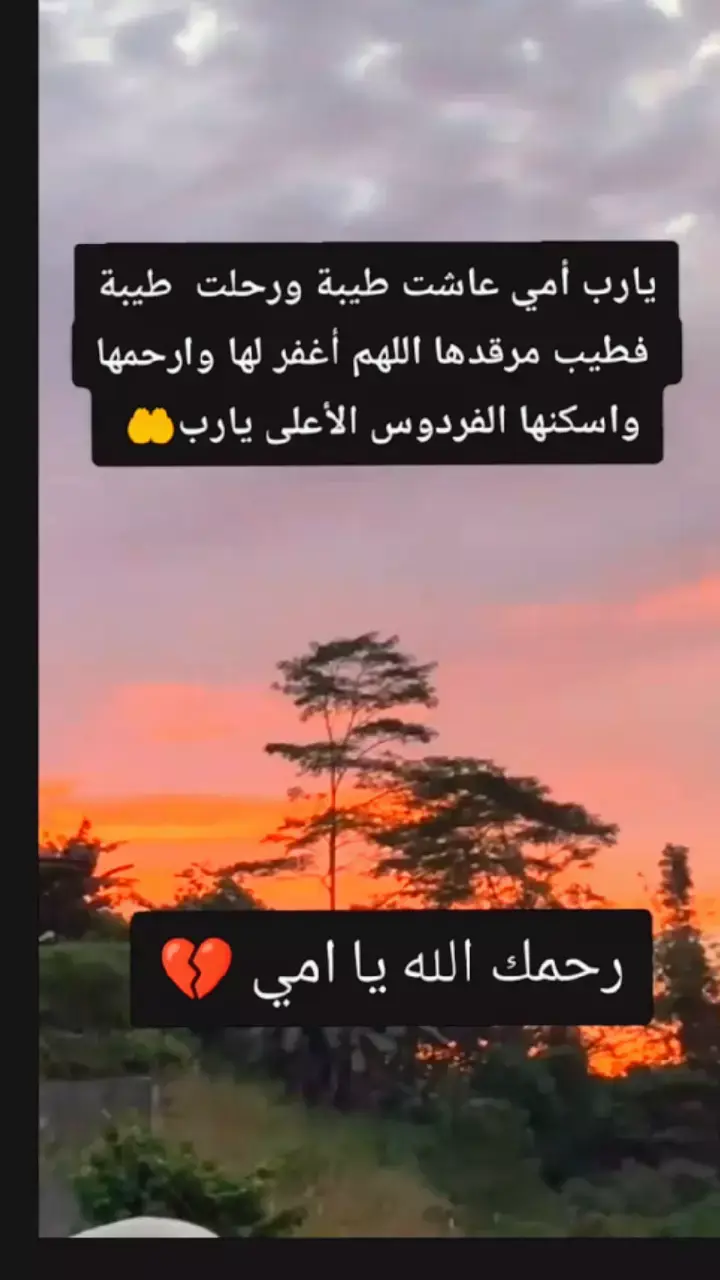 #رحمك_الله_يا_فقيدة_قلبي💔 