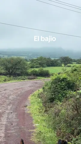#michoacan #guanajuato #tj 