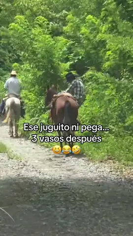 😆😂 #cabalgata #caballo #viviralmaxi #fyp #newtrend 