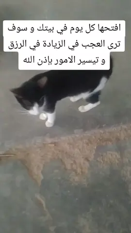 افتحها كل يوم في بيتك و سوف ترى العجب في الزيادة في الرزق و تيسير الامور بإذن الله  #القران_الكريم_راحه_نفسية😍🕋 #fyp #قران_كريم #القران_الكريم 