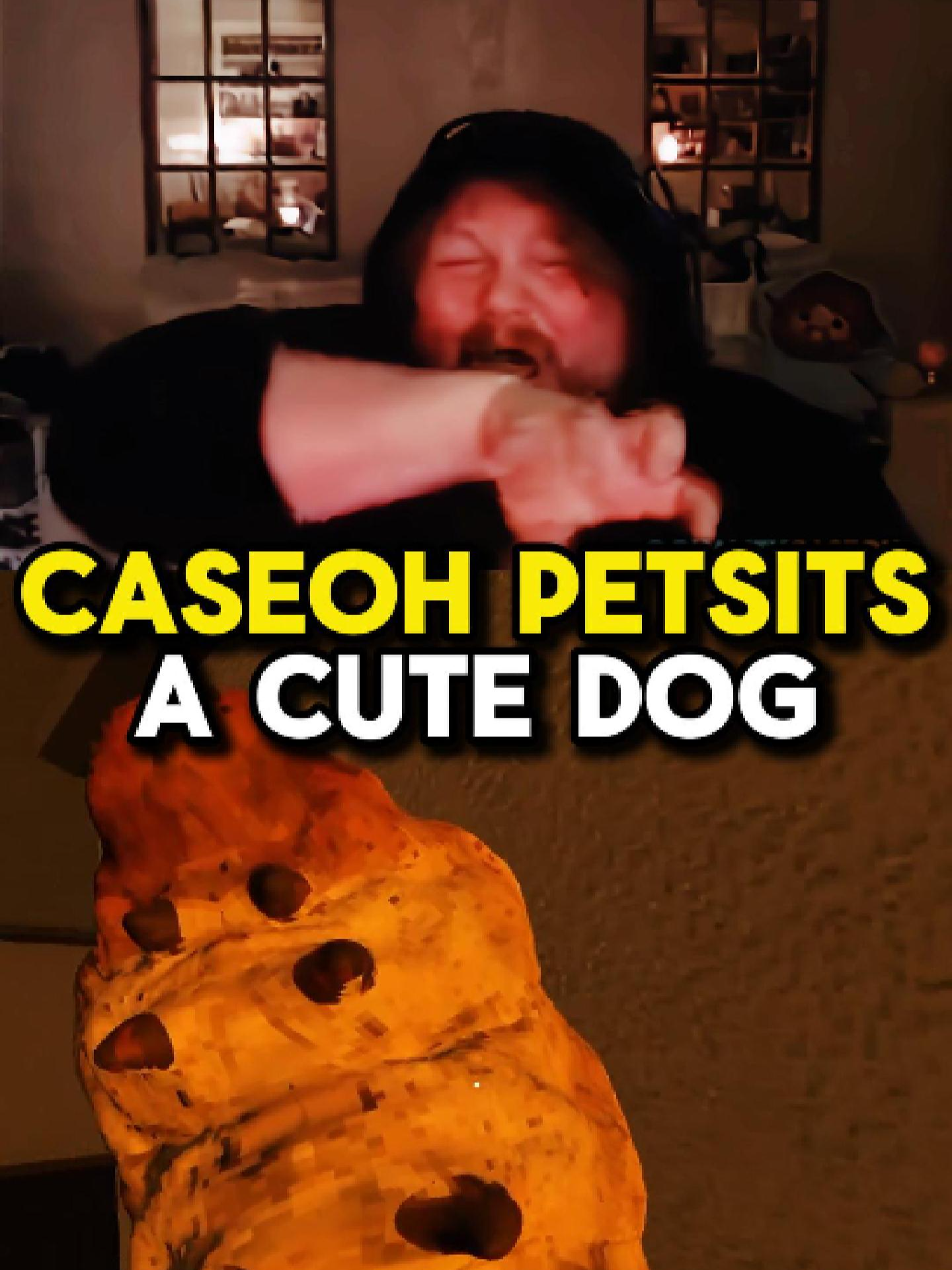 Sometimes you just have to edit something super weird. #caseoh #caseohgames #petsitting #caseohfunnymoments #caseohfunnyclips #funny