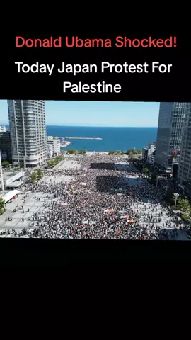 Free Palestine #palestine #freepalestine #protest #gaza #fyp 