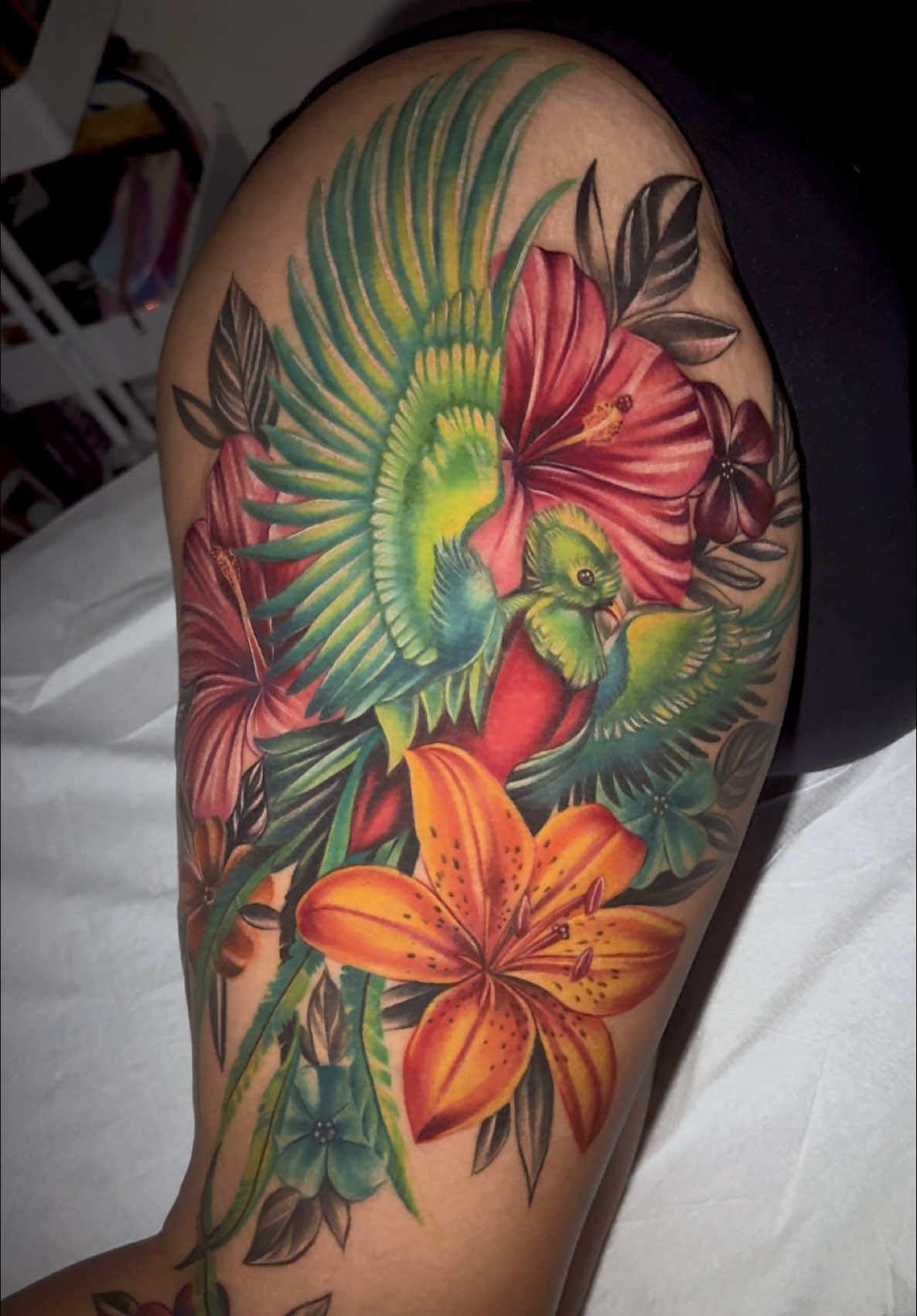 ✧ Quetzal 🔥✨✨✨ Finally finished this  Beautiful colorful piece ☺️ Loved putting this piece  Together for my pretty client 💖 Thank you again for the trust  Loved how it came out with all the colors 😍 Representing her culture  Wearing it very proudly 🥰 🌷 Book with me for your next tattoo 🌷  👉🏼👉🏼 Labellavidaink.com 👈🏼👈🏼 @labellavidaink  Con mucho mucho Amor 💗 ♥̩̥̩ ━━━━━ ﹥ˏˋ♡̩͙♡̩̩̥͙♡̩̥̩ ⋆ ♡̩̥̩♡̩̩̥͙♡̩͙ˊˎ﹤ ━━━━━ ♥̩̥̩ #art #artist  #tattooartist  #losangeles  #labellavidaink 
