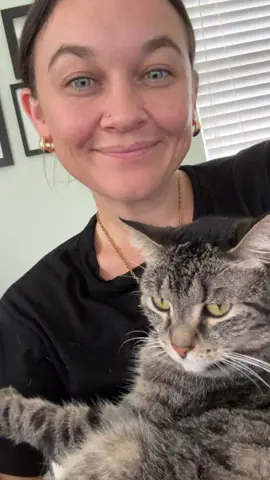 Over it #catsoftiktok 