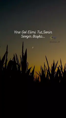 Kafam Almıyor Senden Başka...🖤