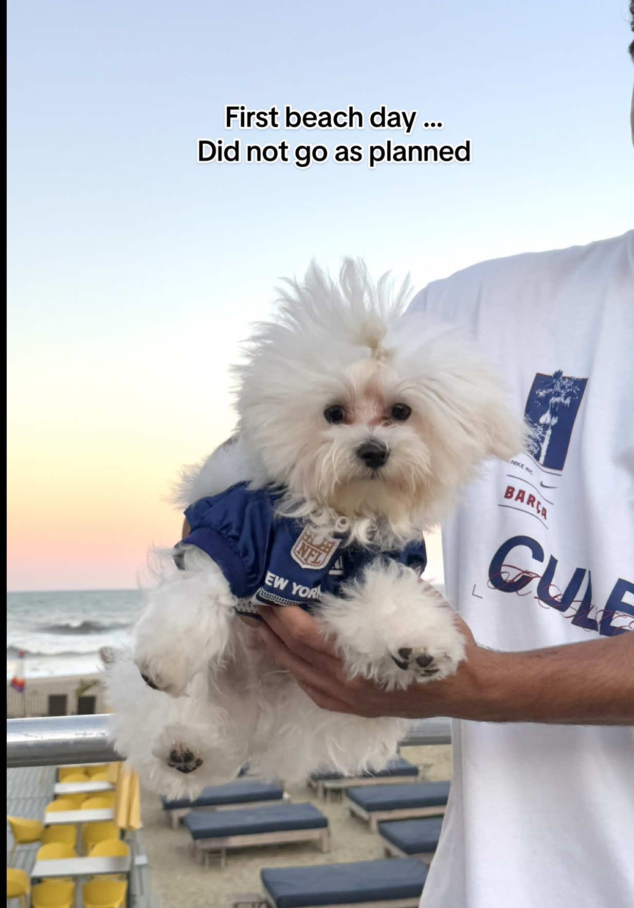 First beach day .... & it did not go as planned. But thank you to the fwee tweats from Masons famous Lobster Rolls 🦞🦴😋 Dog purse link (Also linked in Bio): https://www.amazon.com/shop/kainethemaltese/list/1JGJ3FOSGAEBU?ref_=aipsflist #fyp #jerseyshore #virralvideo #beach #amazonfinds 