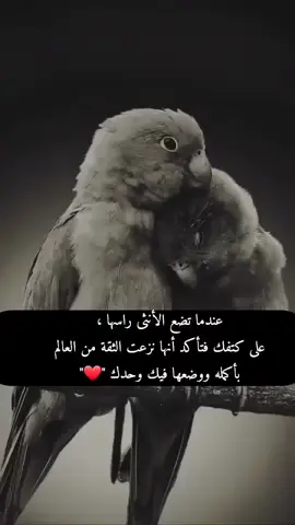 #creatorsearchinsights #متابعه_ولايك_واكسبلور_فضلا_ليس_امر 