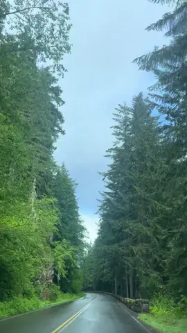 Every road hits different 💯