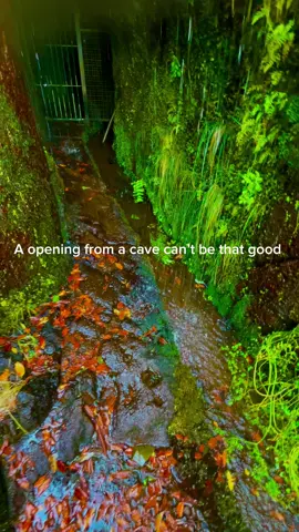 #nature #mega #CapCut #rain #ps2nostalgia 