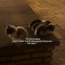 Ehh#kəşfəttttttttt #adgünüm#qruz#tənhalıq🥀🖤 #Love