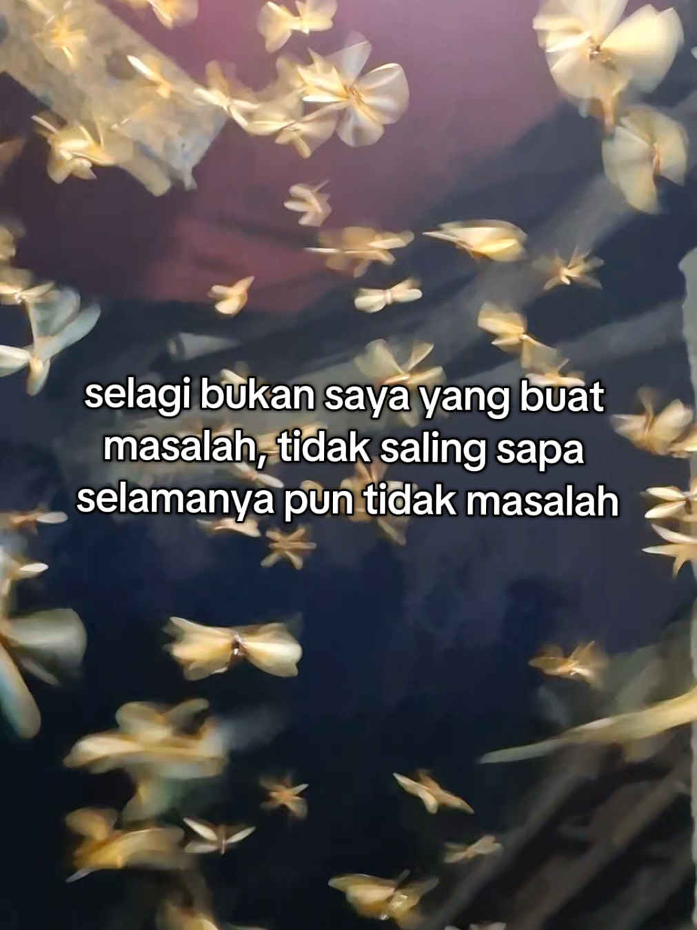 sekali lagi tidak masalah #story #storykatakata #storywa #fyp 