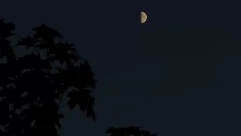 ألكّ يِاليَل بعَيِونيْ ..؟🤎🌿
