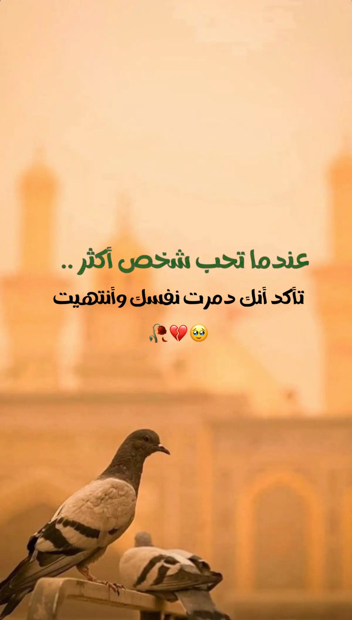 #عبارات #اكسبلورexplore 