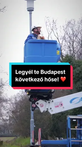 Hétköznapi hősök. Budapest hősei. 🦸‍♂️ Most te is csatlakozhatsz hozzájuk! Budapest Állásbörze | Szeptember 17-18. |  Biodóm #Budapest #álláskeresés #superman2025 #punkrocker #magyartiktok @budapestvaroshaza 