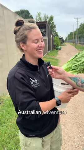 Which experience is on your bucket list? #animalencounters #animalexperiences #travel #vacation #familytime