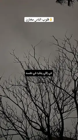 👌قلوب الناس مخازن#تصميم_فيديوهات🎶🎤🎬 #اكسبلور #ليبيا #fyp #كلام_واقعي  @🔱★«الهمالي»★🔱  @🔱★«الهمالي»★🔱  
