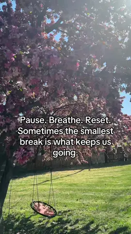 Inhale peace. Exhale the weight you don’t need to carry today. #peace #fyp #beauty #nature #god 