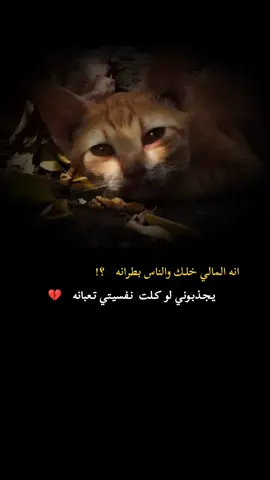 #عبارتكم #😔🥀💔 