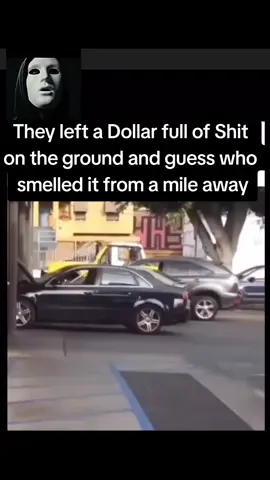 He said he gonna wash it 🤣 #usa🇺🇸 #tik #tok #canada_life🇨🇦 #israel🇮🇱 