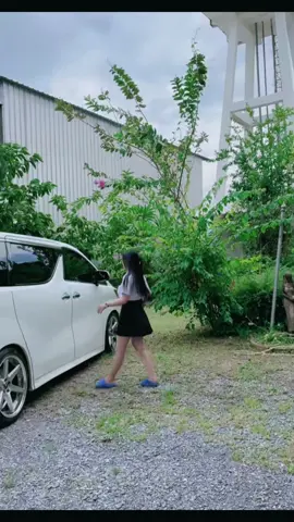 #fypシ゚ #ฟีดดดシ #ชนัญชิดาสวนไทรเกาหลี 