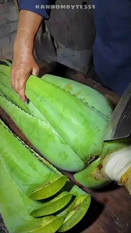 From Leaf to Gel in Minutes! 😲 #LifeHacks #viralvideo #shorts #trending #fypシ゚viral 